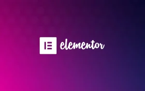 elementor-nedirwebp-68edff839e5b1